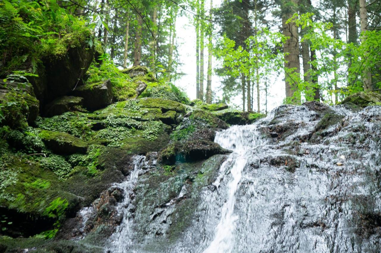 U Dvori Hotel Podgorodtsy Bagian luar foto